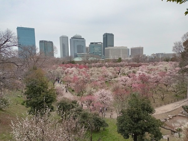 DSC_7927.jpg