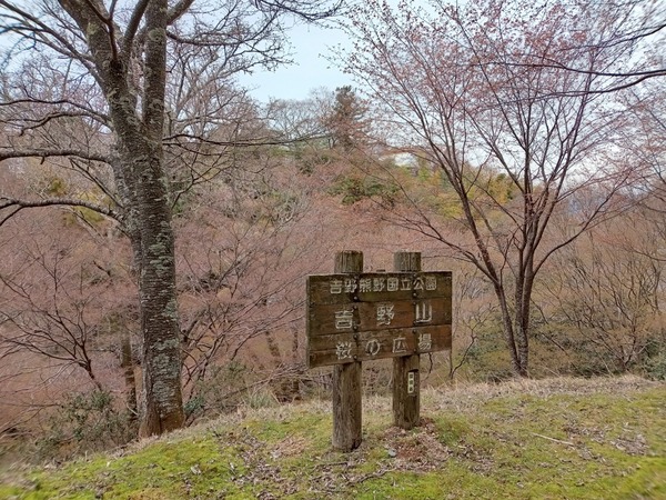 DSC_8153.jpg