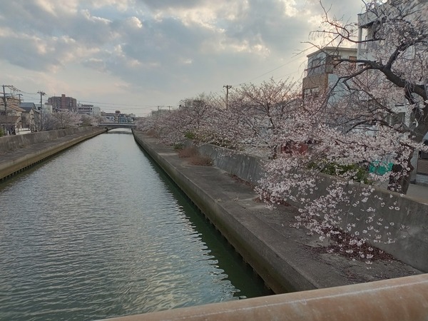 DSC_8194.jpg