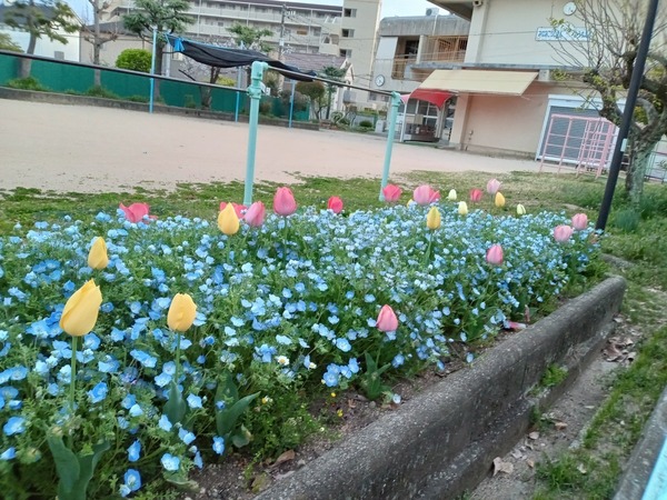 DSC_8200.jpg