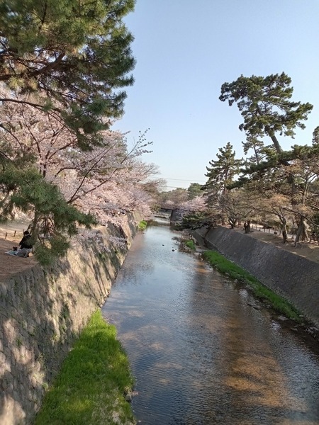 DSC_8212.jpg